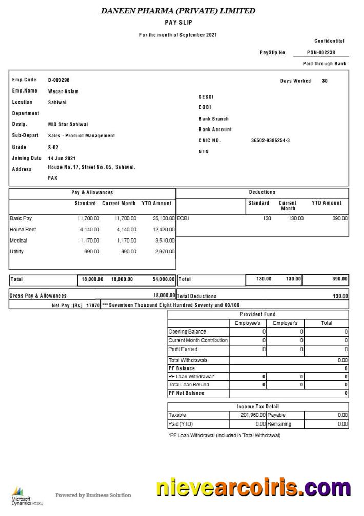 Daneen Pharma payslip